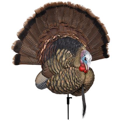 Picture of Avian X Turkey Decoy