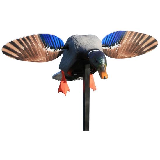 Picture of Mojo Outdoors Elite Series Decoy