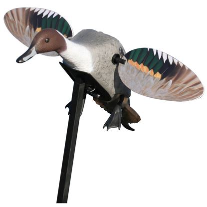 Picture of Mojo Outdoors Elite Series Decoy