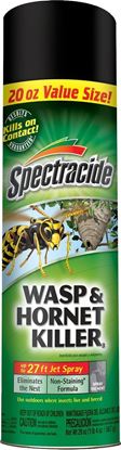 Picture of Spectracide HG-95715 Wasp & Hornet Killer 20oz Aerosol