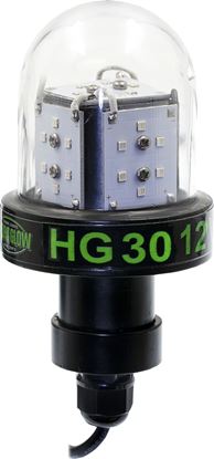 Picture of Hydro Glow HG30 30w, 12v Deep Water LED Fishing Light, Globe style, Green, 20' cord, 3600 lumen