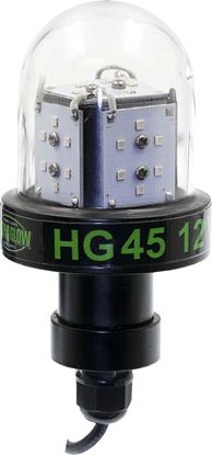 Picture of Hydro Glow HG45 45w, 12v Deep Water LED Fishing Light, Globe style, Green, 20' cord, 5400 lumen