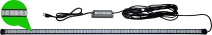 Picture of Hydro Glow DM260G 40w, LED, 120v, Dock Mounted Fishing Light, Green, 20' cord