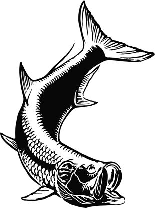 Picture of Calcutta LVECTP005 Die Cut Decal Tarpon 7"