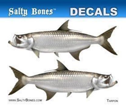 Picture of Salty Bones BPF2479M Profile Mini Decal-Tarpon