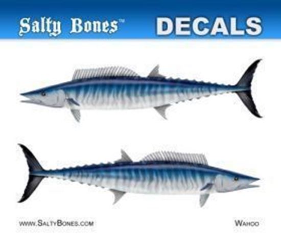 Picture of Salty Bones BPF2483M Profile Mini Decal-Wahoo