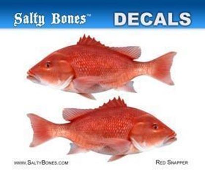 Picture of Salty Bones BPF2505M Profile Mini Decal-Snapper