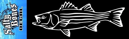 Picture of Salty Bones BP2498 Decal, Striper-White Transfer