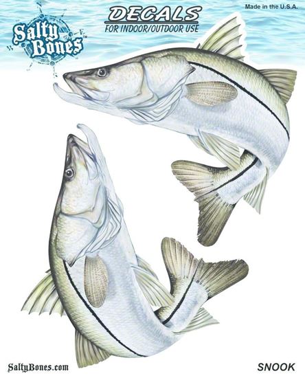 Picture of Salty Bones BSD2476 Decal, Double Snook