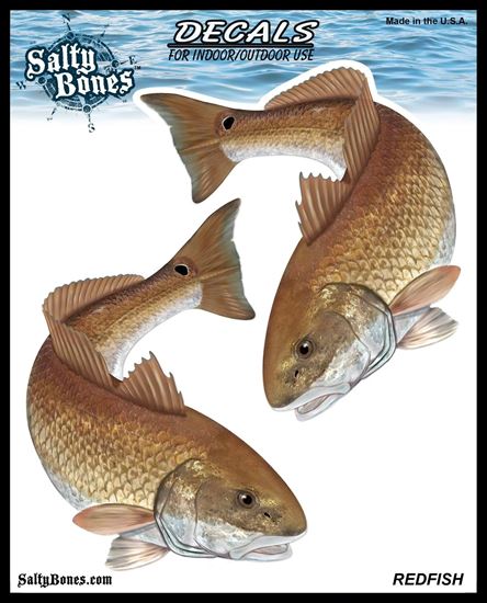 Picture of Salty Bones BSD2477 Decal, Double Redfish