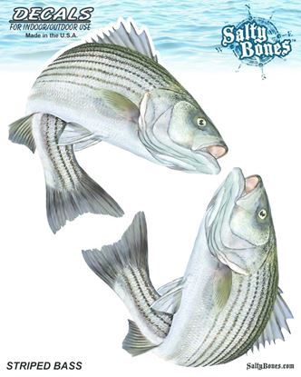 Picture of Salty Bones BSD2498 Decal, Double Striped Bass