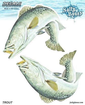 Picture of Salty Bones BSD2501 Decal, Double Speckled Trout