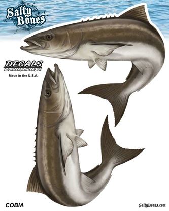 Picture of Salty Bones BSD2502 Decal, Double Cobia