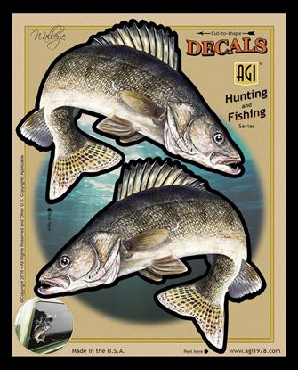 Picture of Bones BOD2496 Decal, Double Walleye