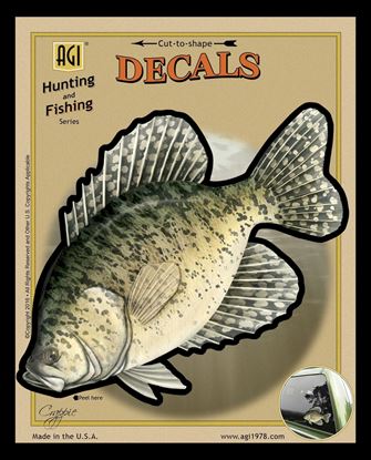 Picture of Bones BOD2499 Decal, Crappie
