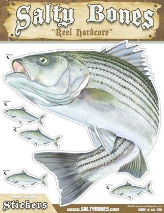 Picture of Salty Bones BMEG4013SB Mega Decal, 10.5" x 13.5", Striped Bass (Left Facing)