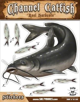 Picture of Bones BMEG4017 Mega Decal, 10.5" x 13.5", Channel Catfish (Left Facing)