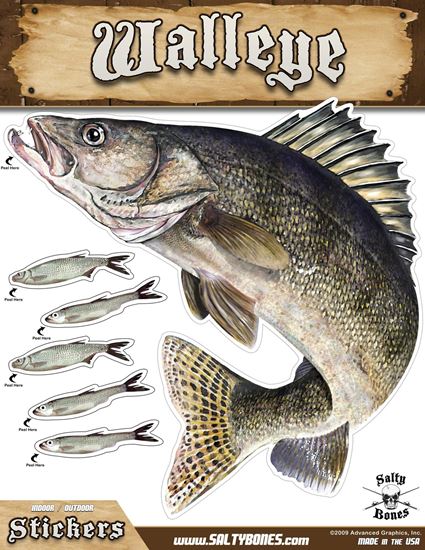 Picture of Bones BMEG4012 Mega Decal, 10.5" x 13.5", Walleye (Left Facing)