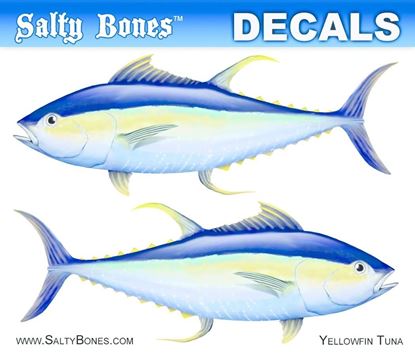 Picture of Salty Bones BPF2480M Decal, Mini-Tuna