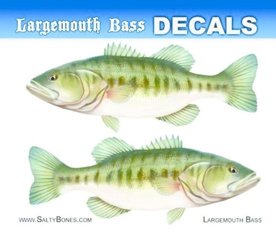 Picture of Bones BPF2482M Decal, Mini-Largemouth Bass