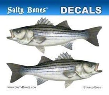 Picture of Salty Bones BPF2498M Decal, Mini-Striped Bass