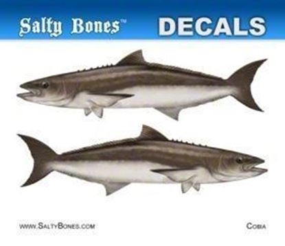 Picture of Salty Bones BPF2502M Decal, Mini-Cobia