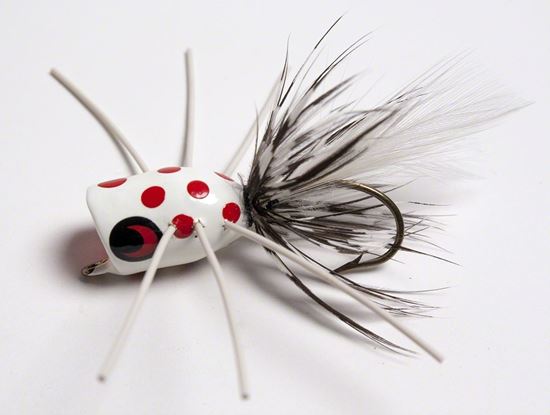 Picture of Betts 309-8-1 Poka Pop Fly Popper, Sz 8, White/Black/White/White