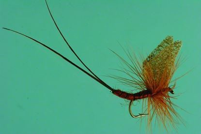 Picture of Jackson Cardinal 039-16 Dry Fly, #16, Brown Mayfly