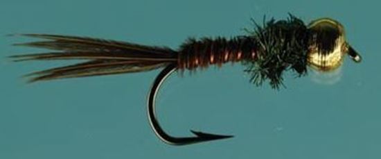 Picture of Jackson Cardinal 835-18 Nymph Fly, #18, Beadhead Flashback Pheasant Tail