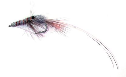 Picture of Jackson Cardinal 628-4 Saltwater Fly, #4, Shrimp Grey, 1/Card