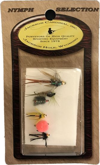 Picture of Jackson Cardinal NA Beadhead Nymph Assorment, 6/Card