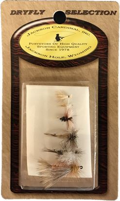 Picture of Jackson Cardinal SA Stream Fly Assortment, 6/Card