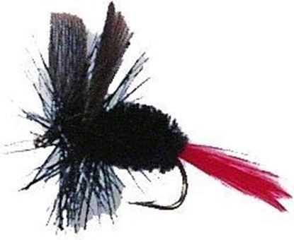 Picture of Betts 442-12-9 Dry Fly , Sz 12, Assorted, 2/Pack