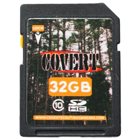 Picture of Covert SD Memory Card